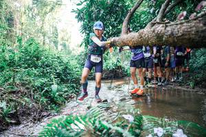 BIB: 
                            <button type="button" onclick="openModal(25468285)" class="btn btn-primary btn-sm float-right btn-popup" data-toggle="modal" data-target=".modal-high-quality">
                        <i class="fas fa-shopping-cart"></i> Add to Cart
                    </button>
                                            <button type="button" onclick="isThisMe(25468285, true)" class="btn btn-success btn-sm float-right btn-popup btn-isme hidden" data-toggle="tooltip" data-placement="bottom" title="นี่คือรูปของคุณใช่ไหม คลิกที่นี่เพื่อเอาเข้าอัลบั้ม">
                        <i class="fas fa-plus"></i> Add to album
                    </button>
                    <button type="button" onclick="isThisMe(25468285, false)" class="btn btn-warning btn-sm float-right btn-popup btn-isnotme hidden">
                        <i class="fas fa-ban"></i> Remove from album
                    </button>